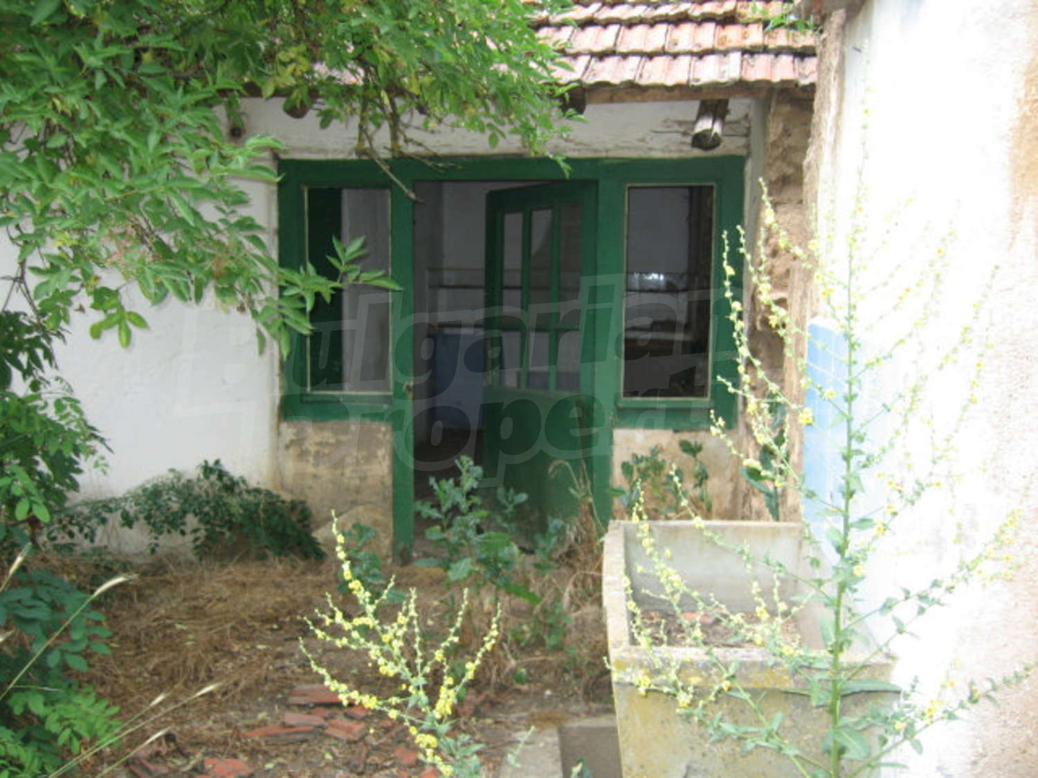 Gallery Picture 14