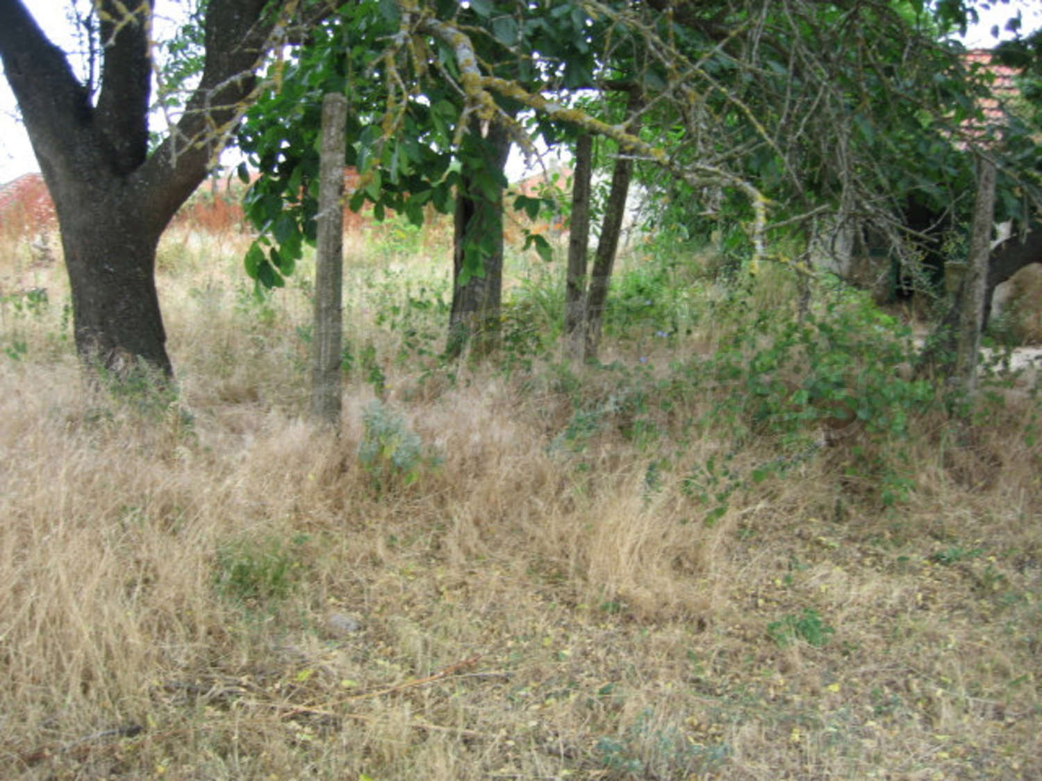 Gallery Picture 7