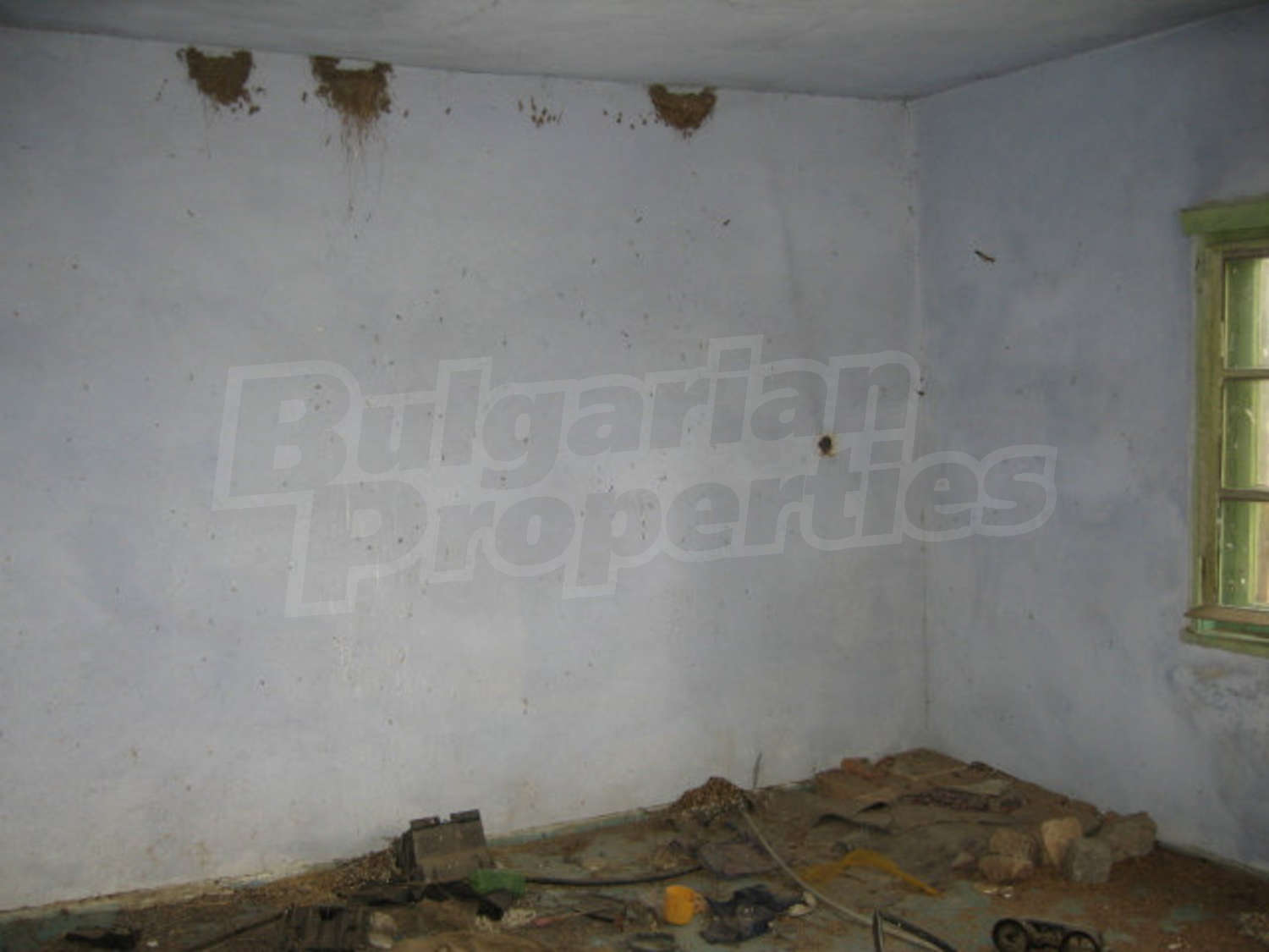 Gallery Picture 9