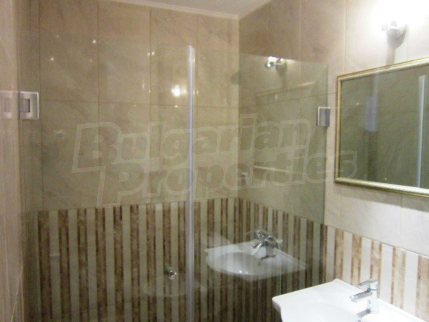 Gallery Picture 39