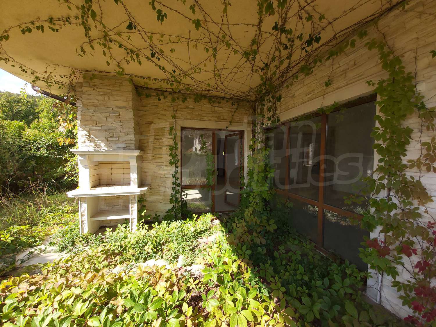 Gallery Picture 33