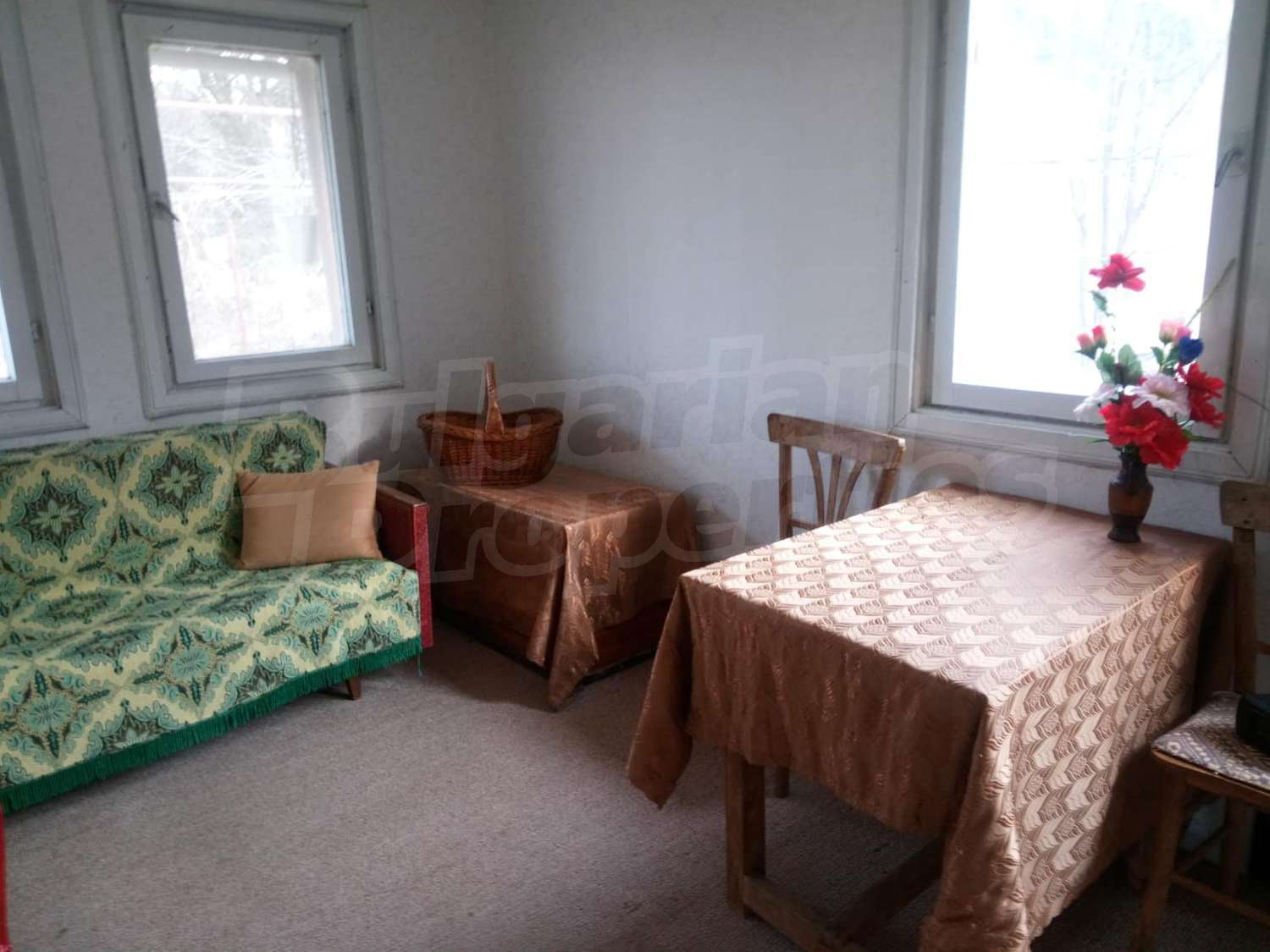 Gallery Picture 10