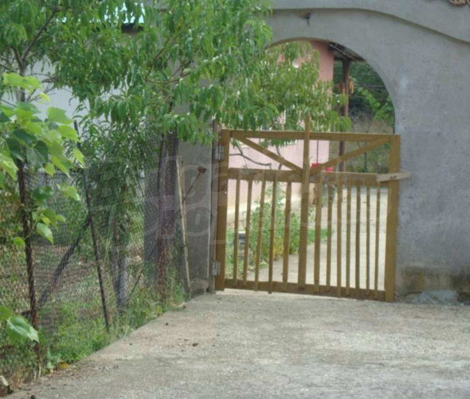 Gallery Picture 14