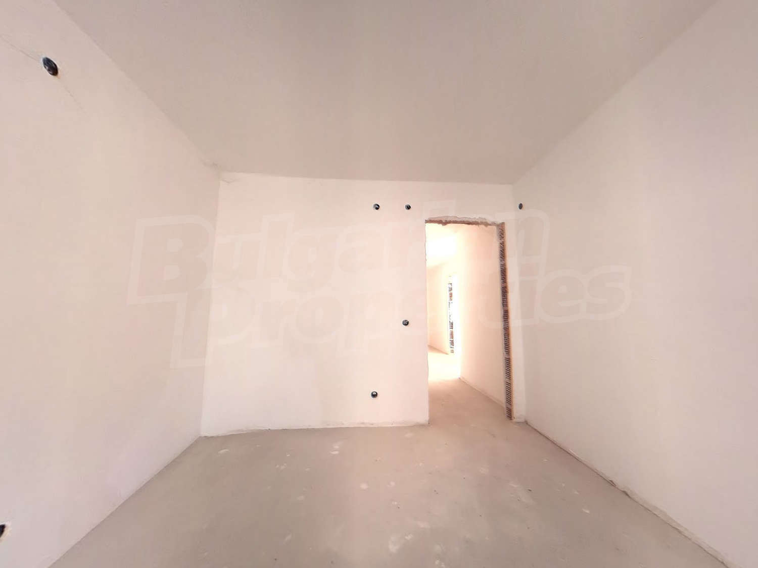 Gallery Picture 10