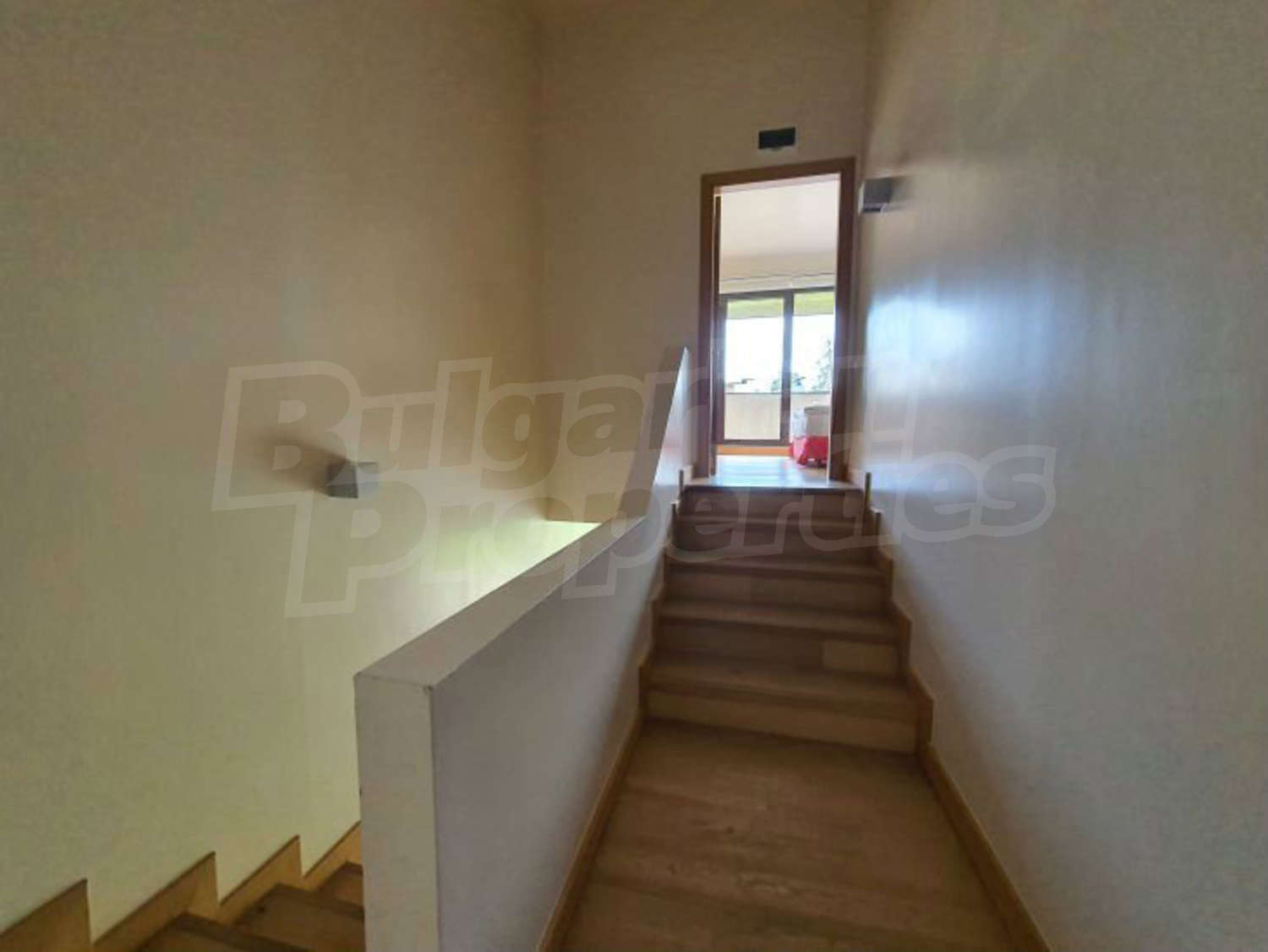 Gallery Picture 22