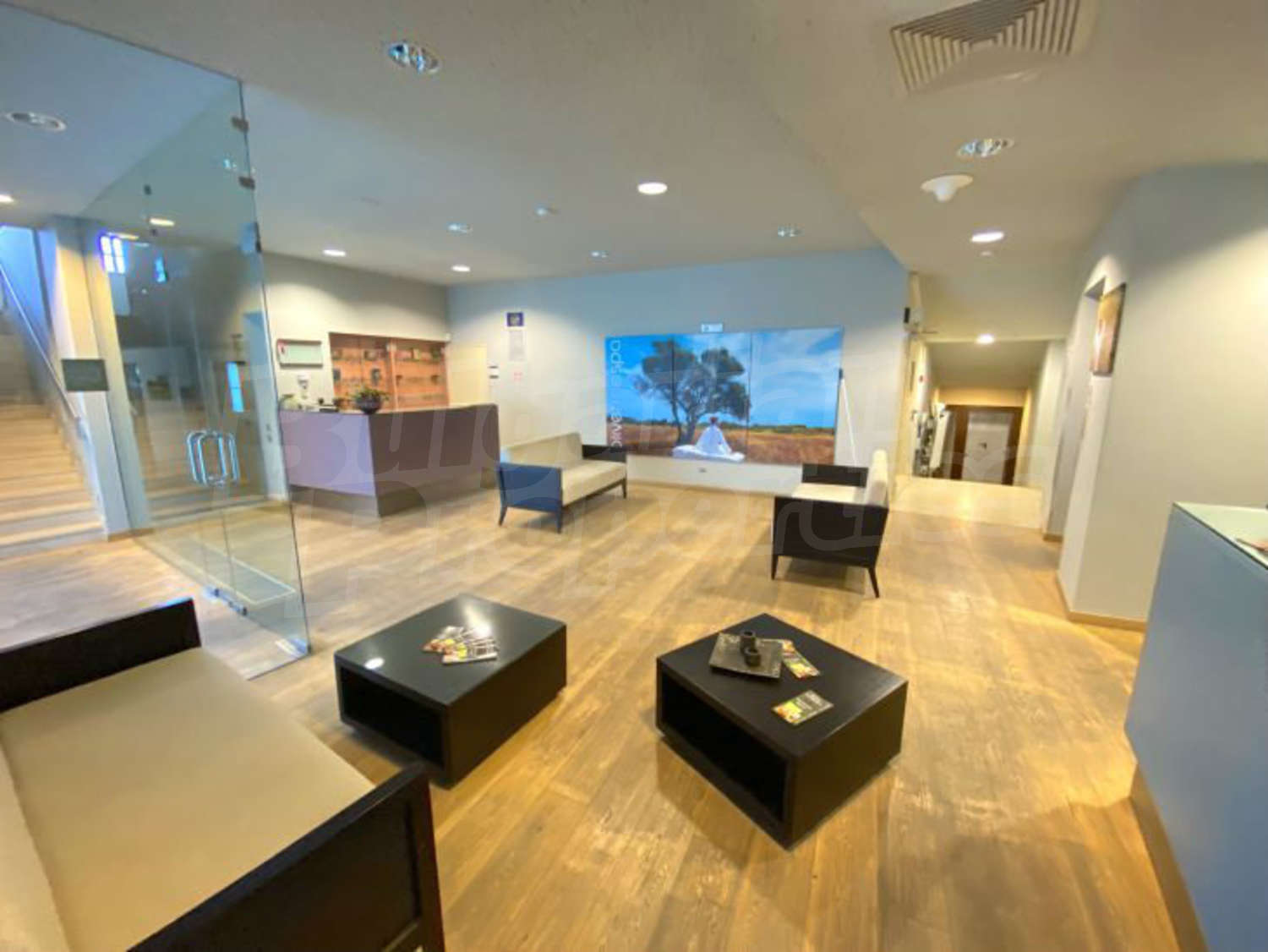 Gallery Picture 33