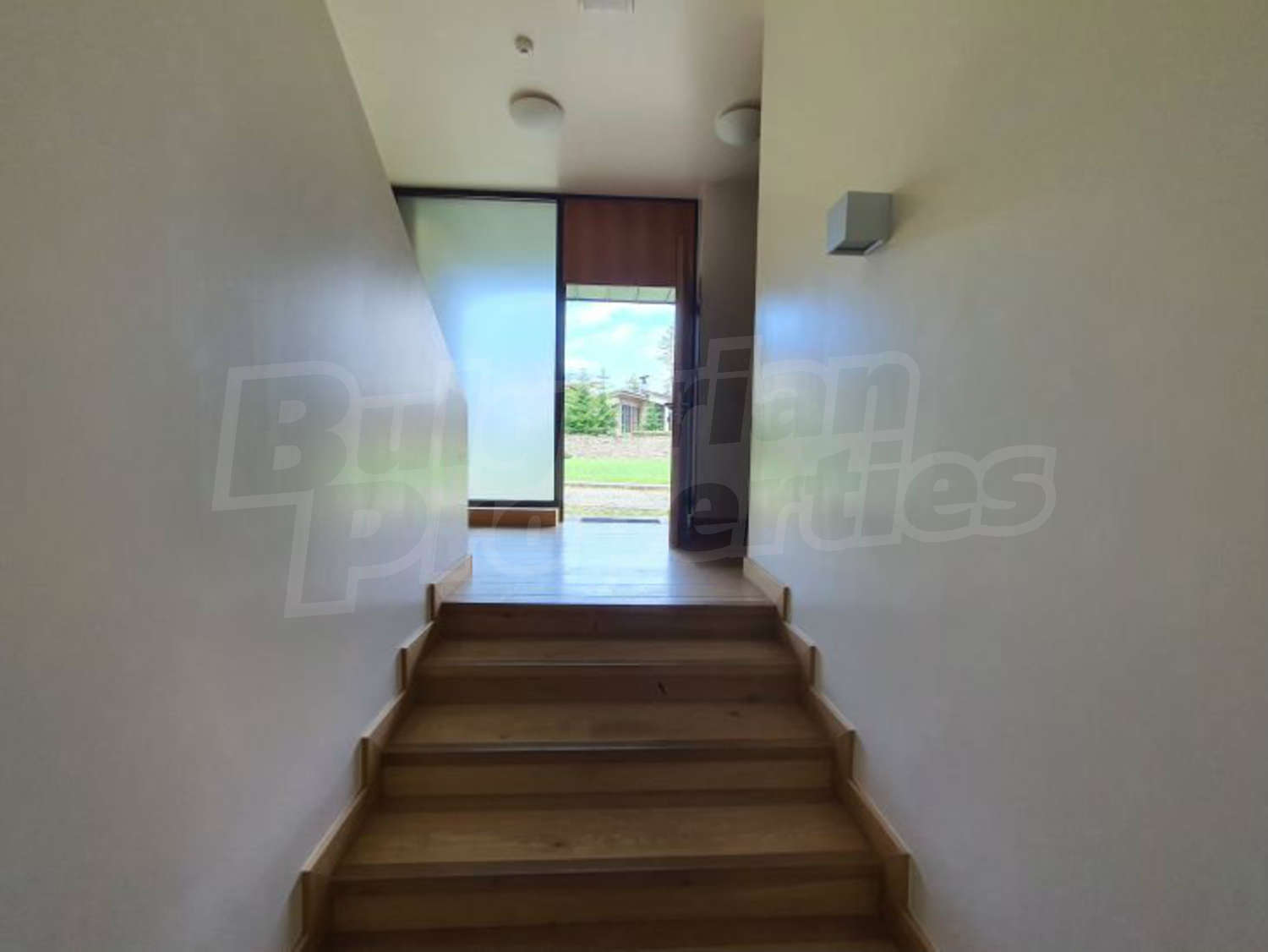 Gallery Picture 10