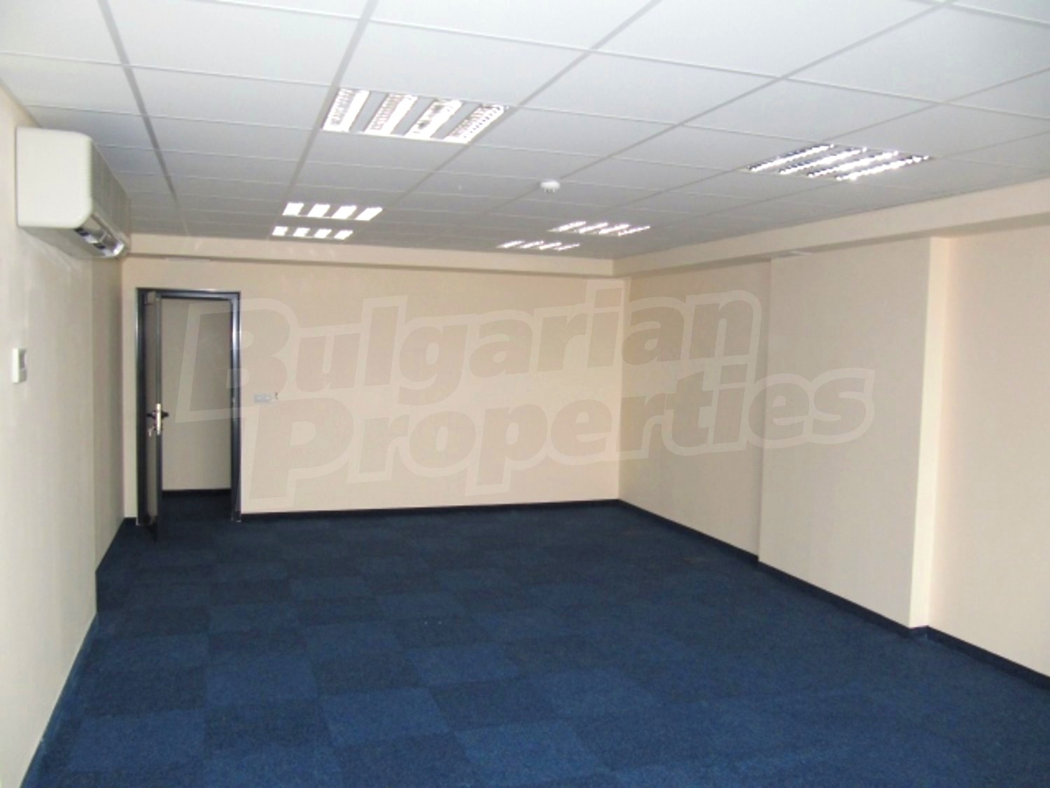 Gallery Picture 13