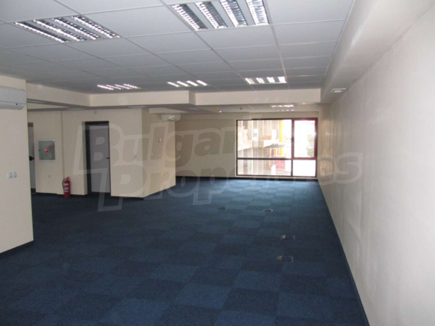 Gallery Picture 5