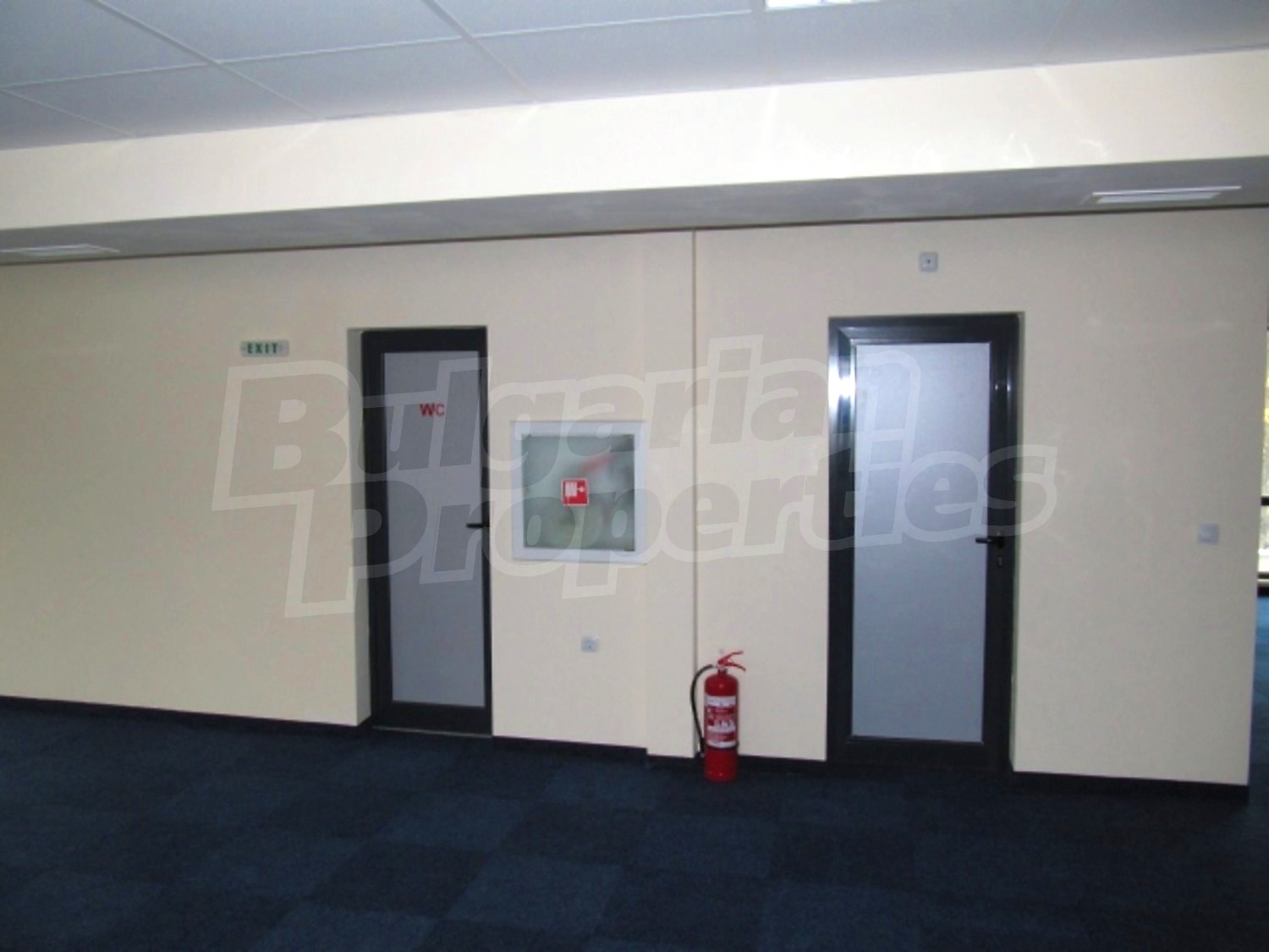 Gallery Picture 9