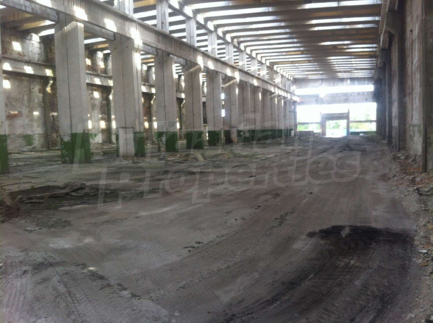Gallery Picture 6