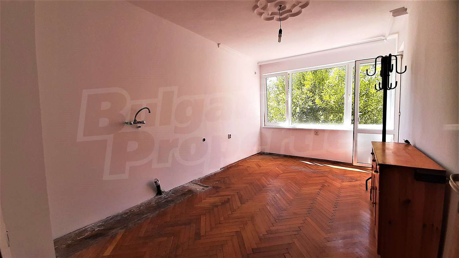 Gallery Picture 16