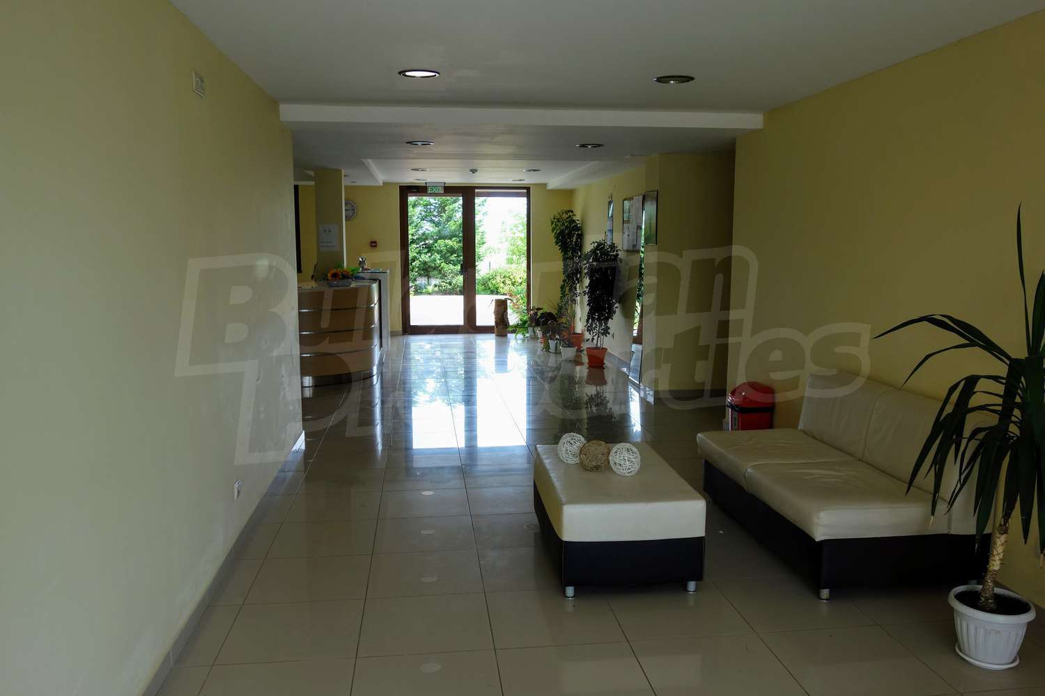 Gallery Picture 19