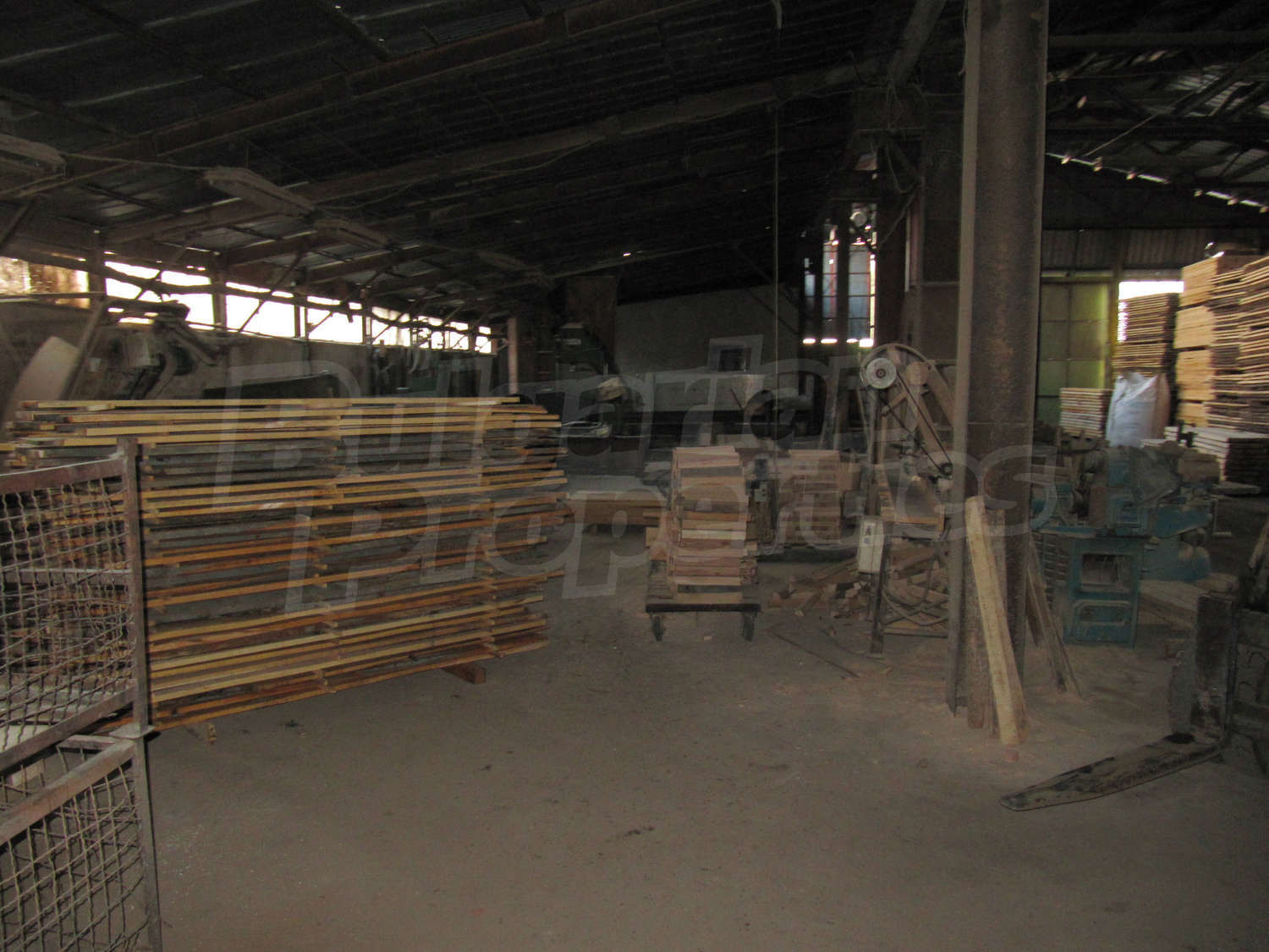 Gallery Picture 32