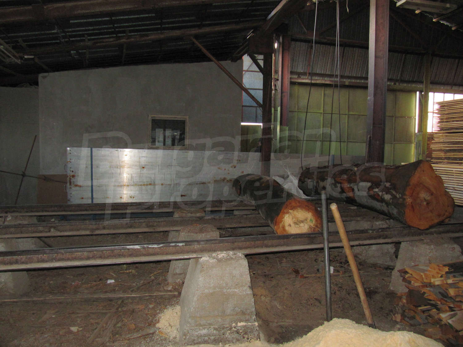 Gallery Picture 38