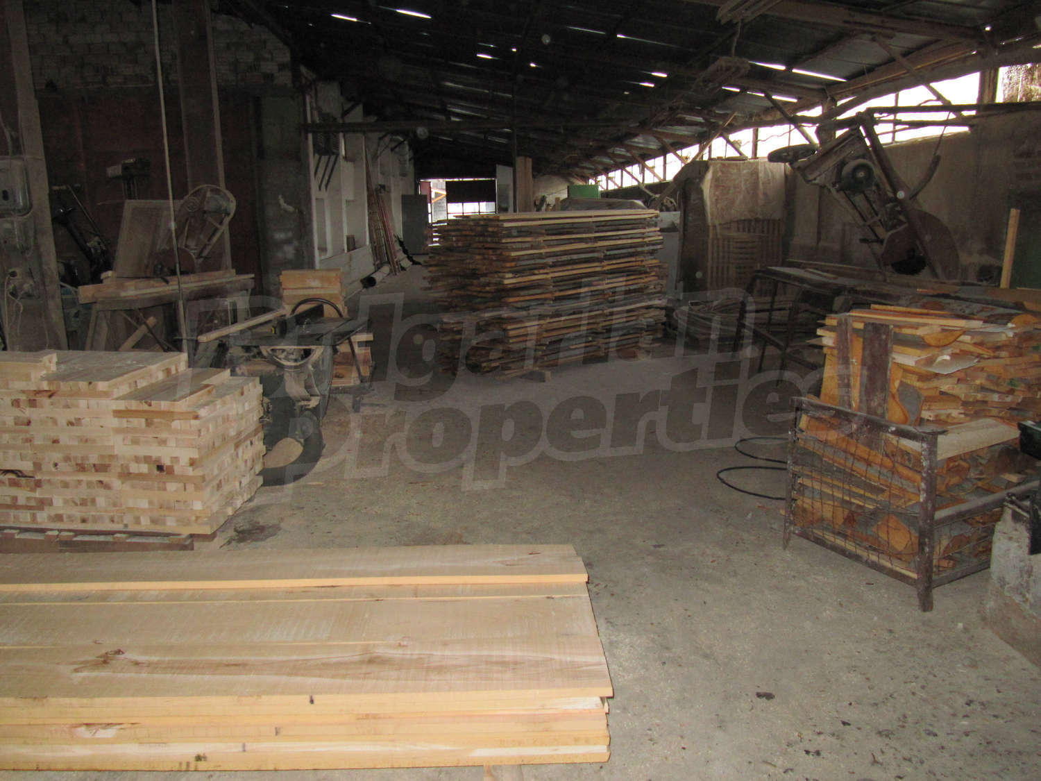 Gallery Picture 39