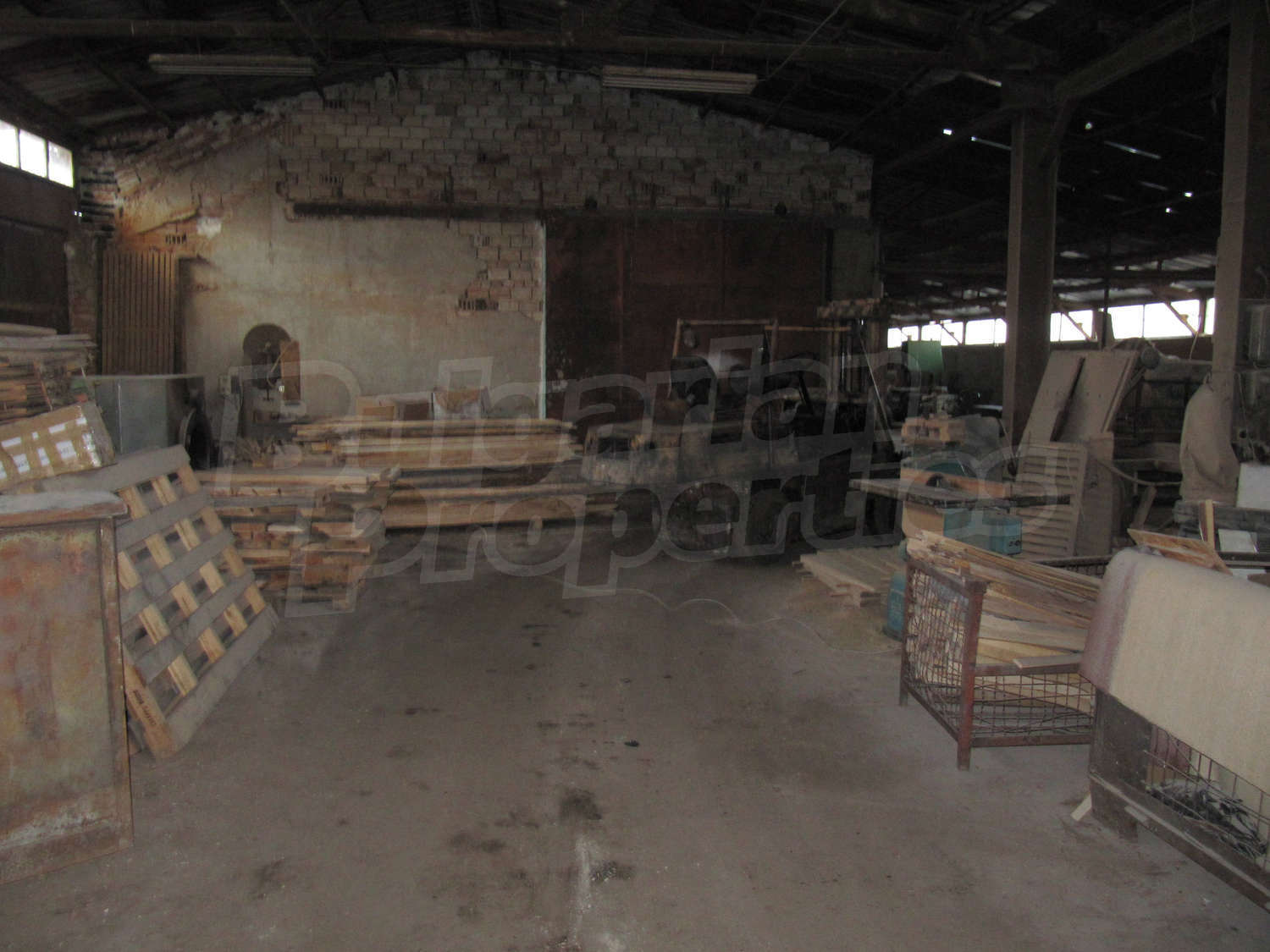 Gallery Picture 41