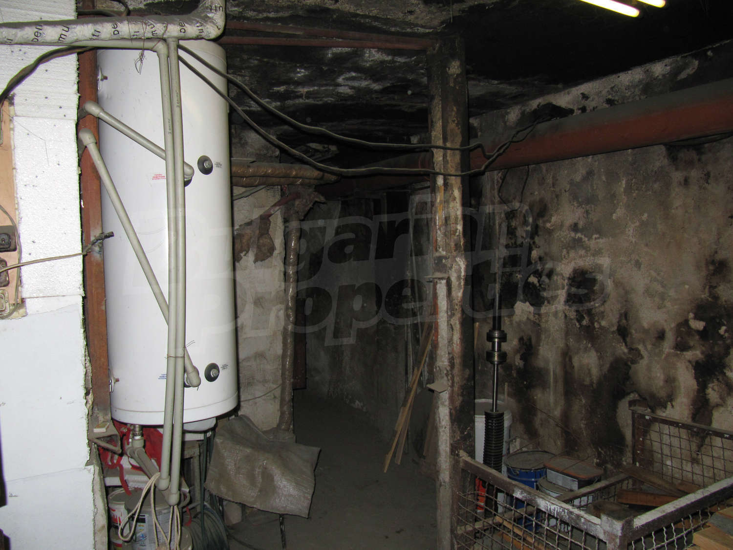 Gallery Picture 57