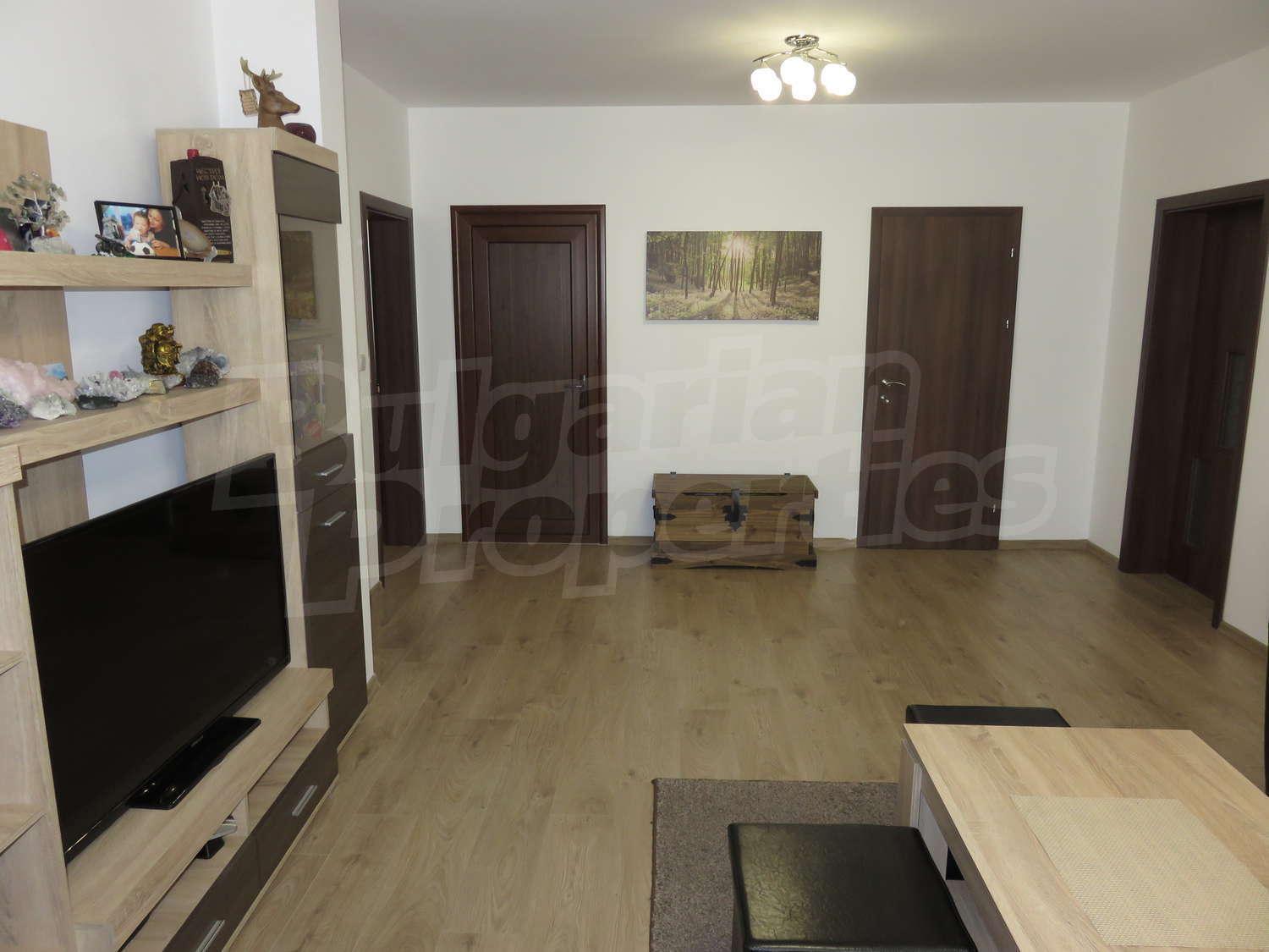 Gallery Picture 19