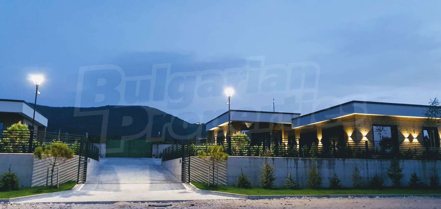 Gallery Picture 10