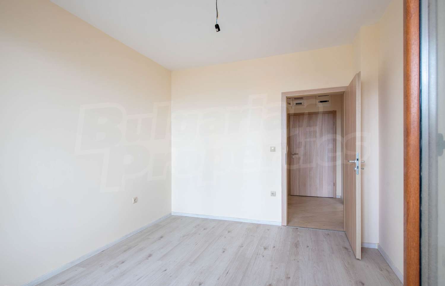 Gallery Picture 11