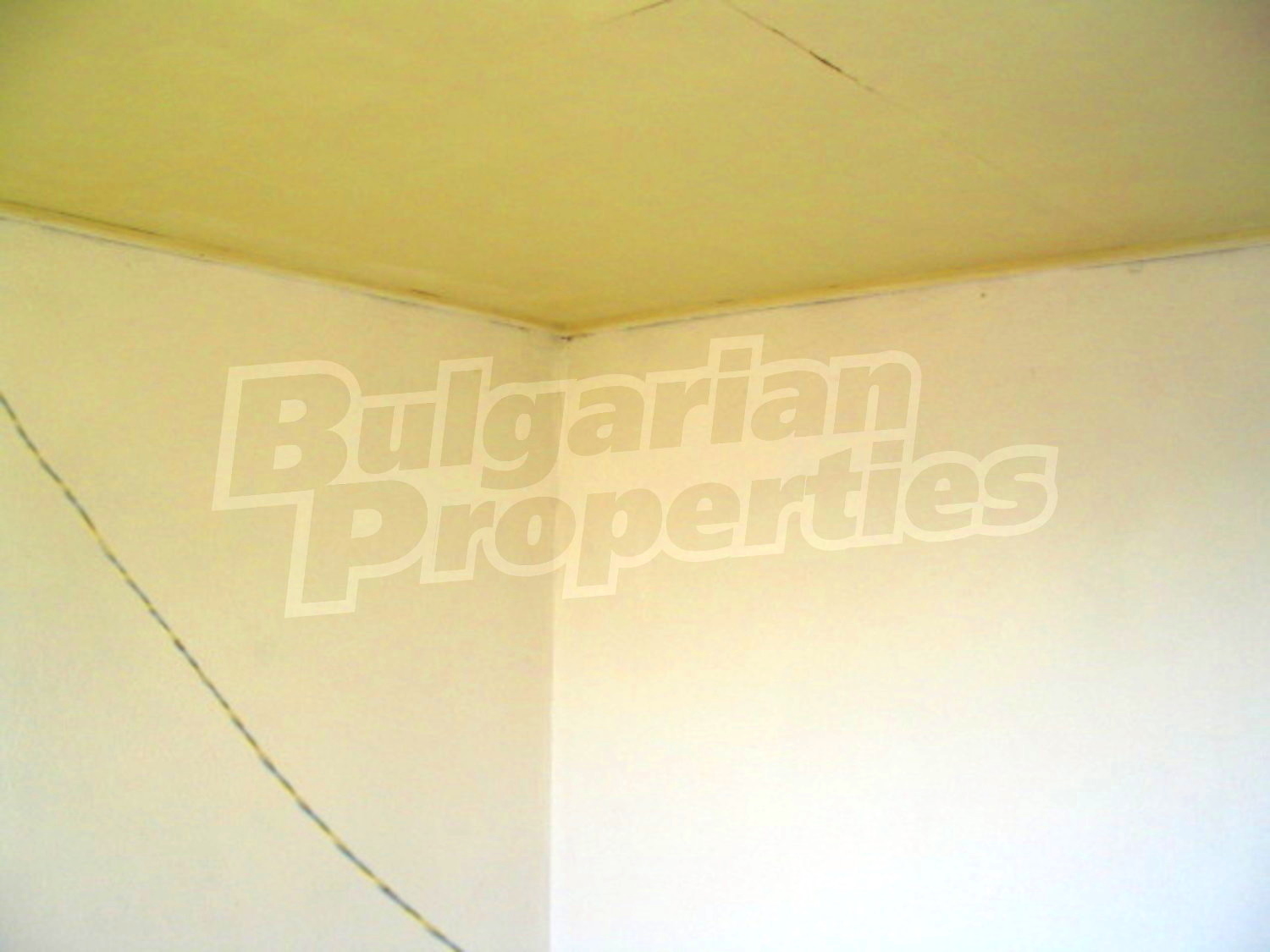 Gallery Picture 11