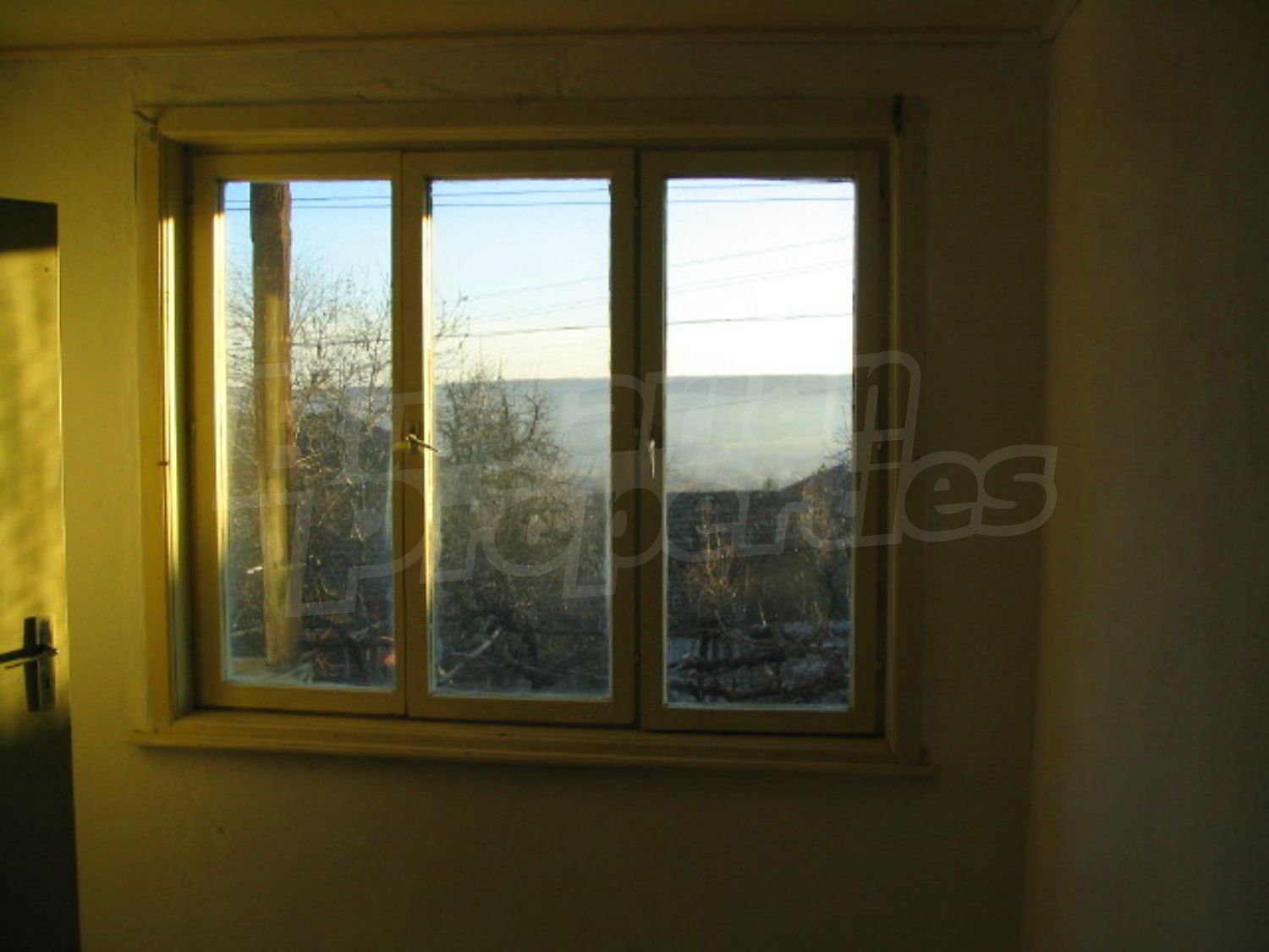 Gallery Picture 12