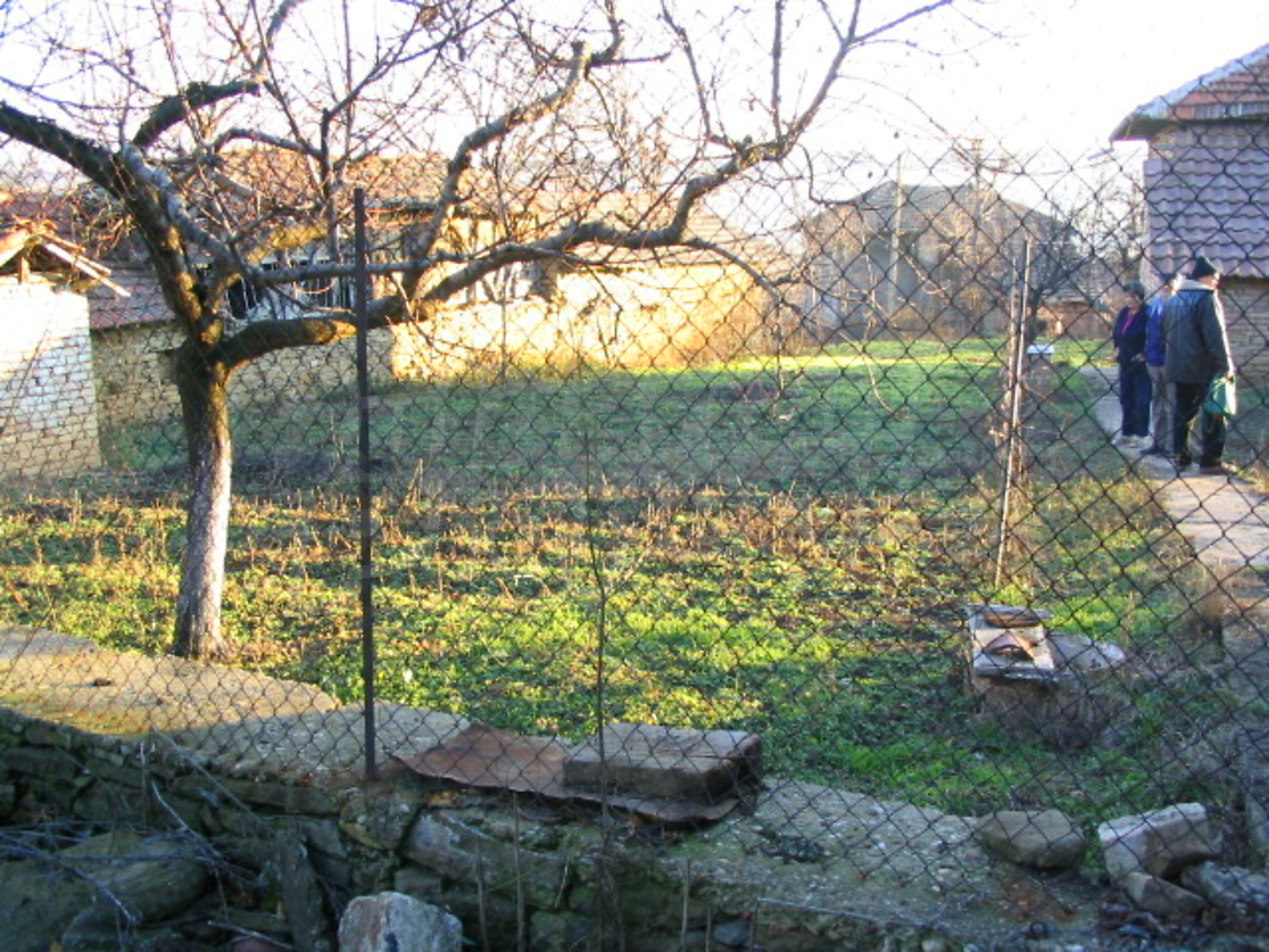 Gallery Picture 17