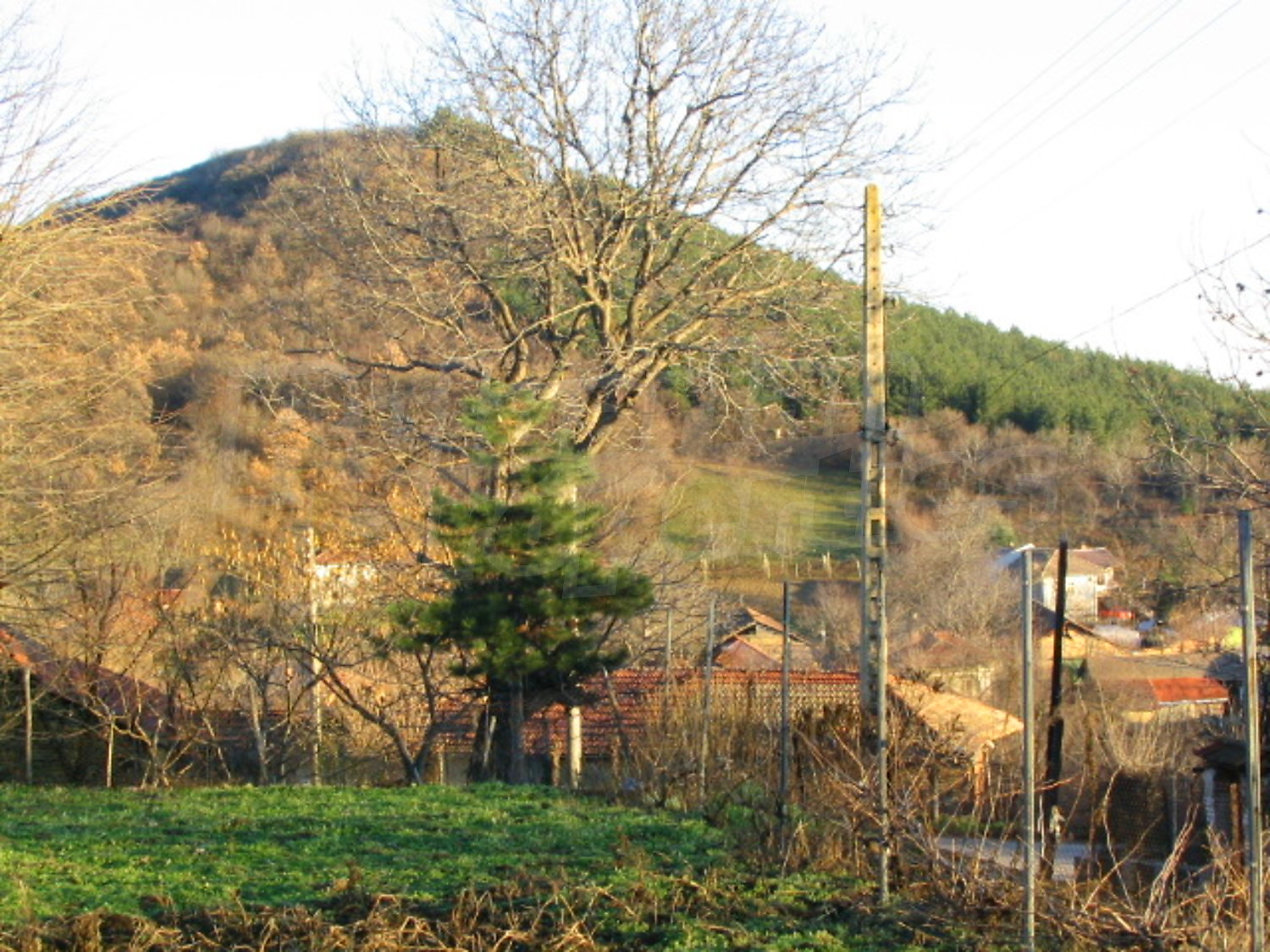 Gallery Picture 19