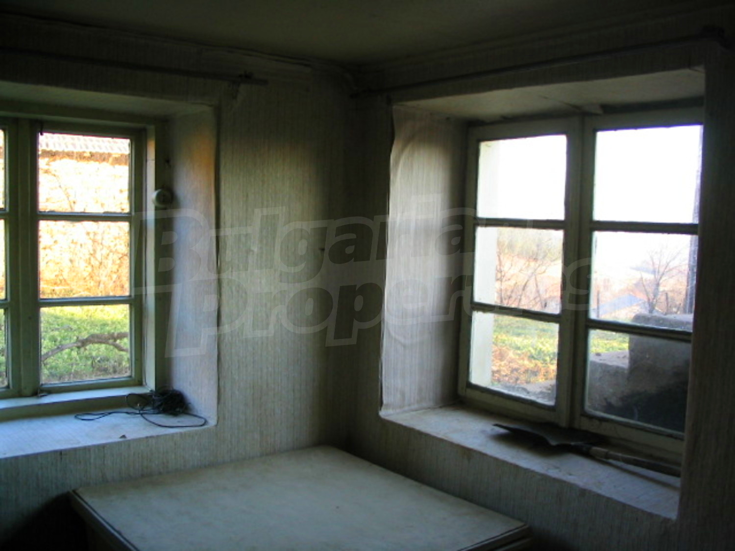 Gallery Picture 7