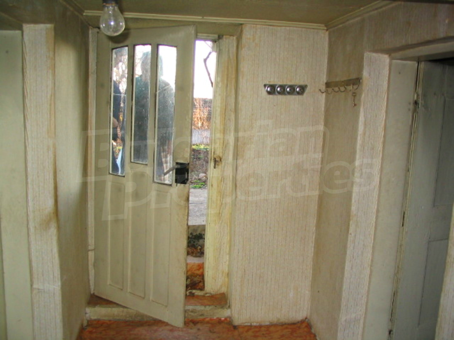 Gallery Picture 8
