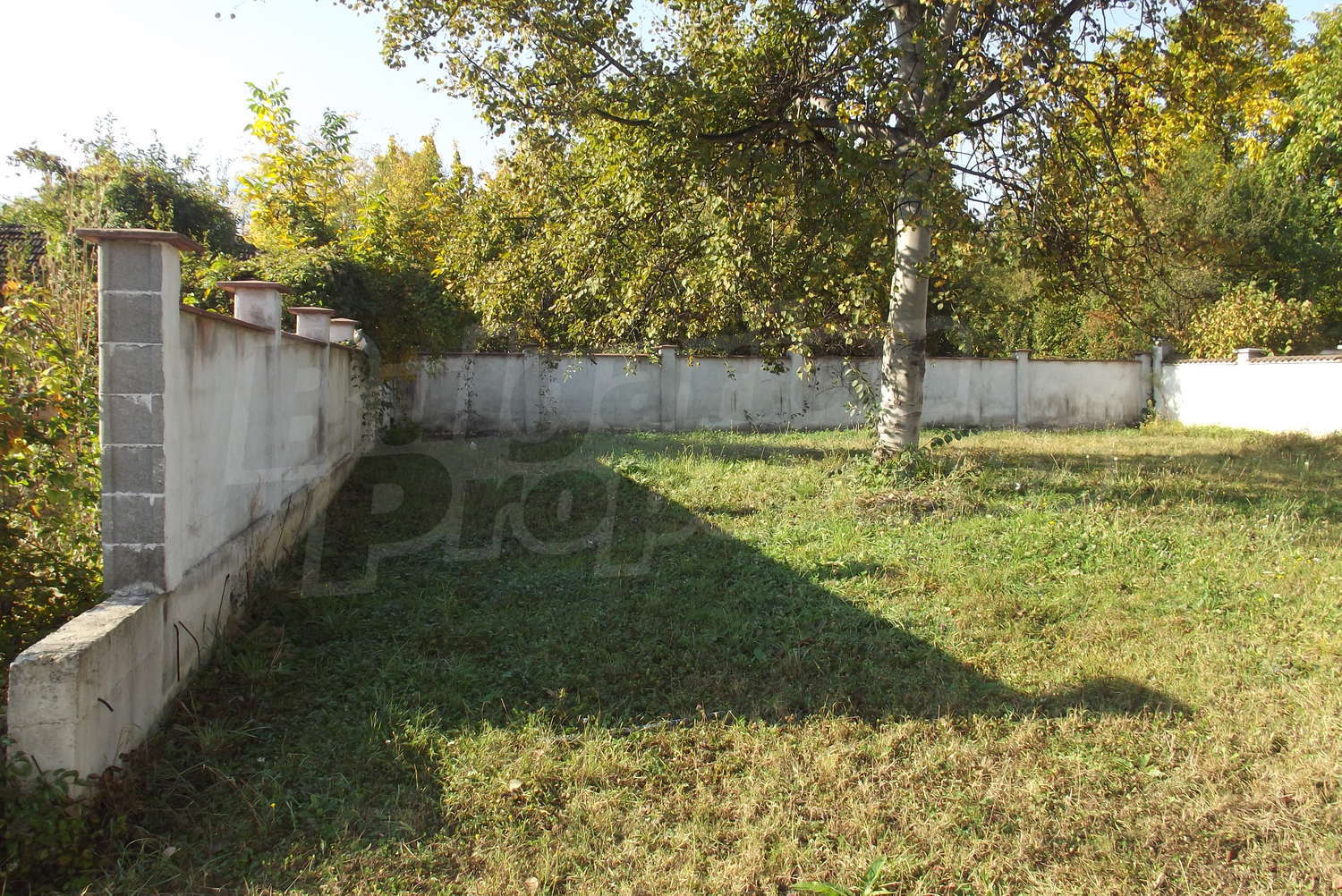 Gallery Picture 6