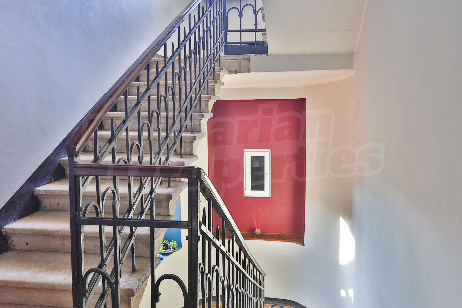 Gallery Picture 19