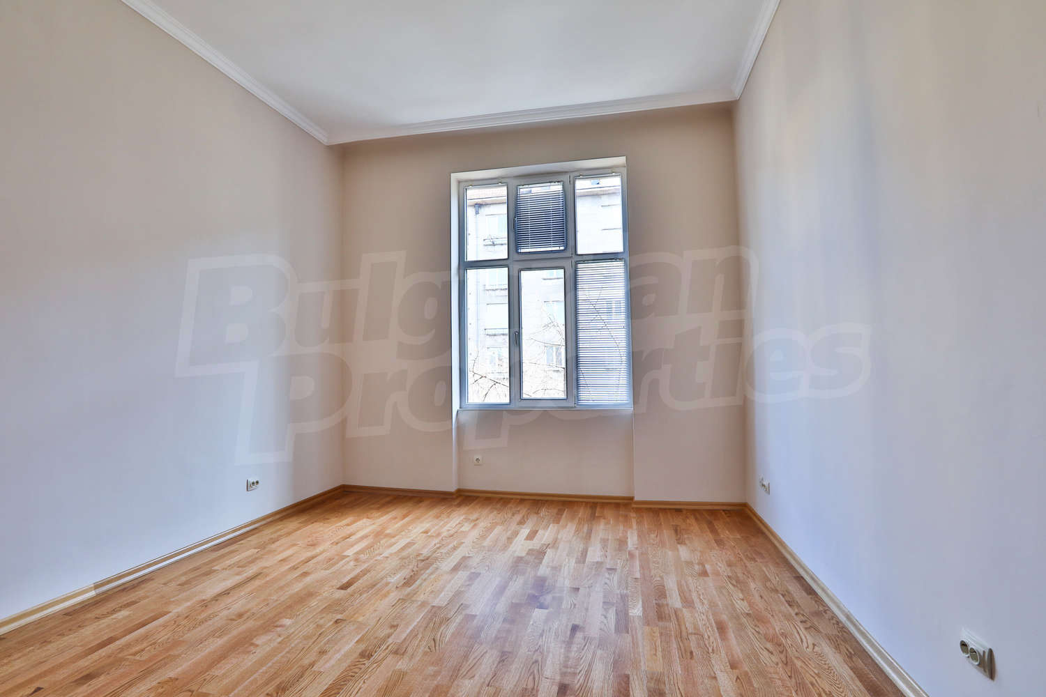 Gallery Picture 7