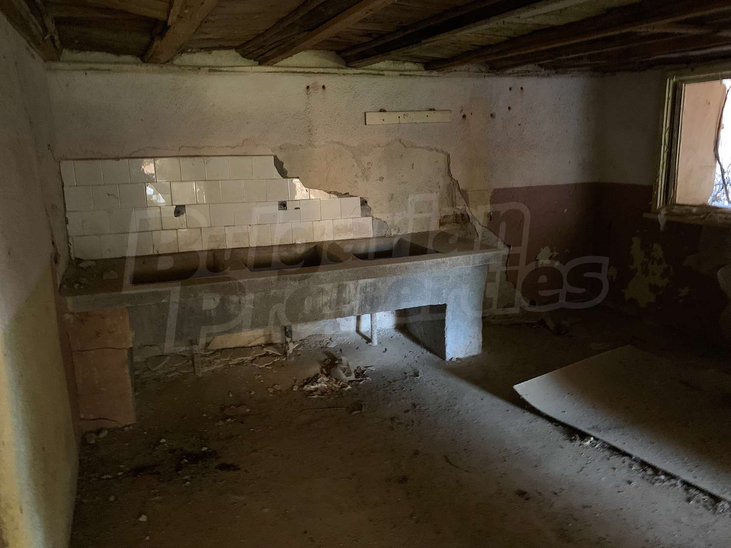 Gallery Picture 13