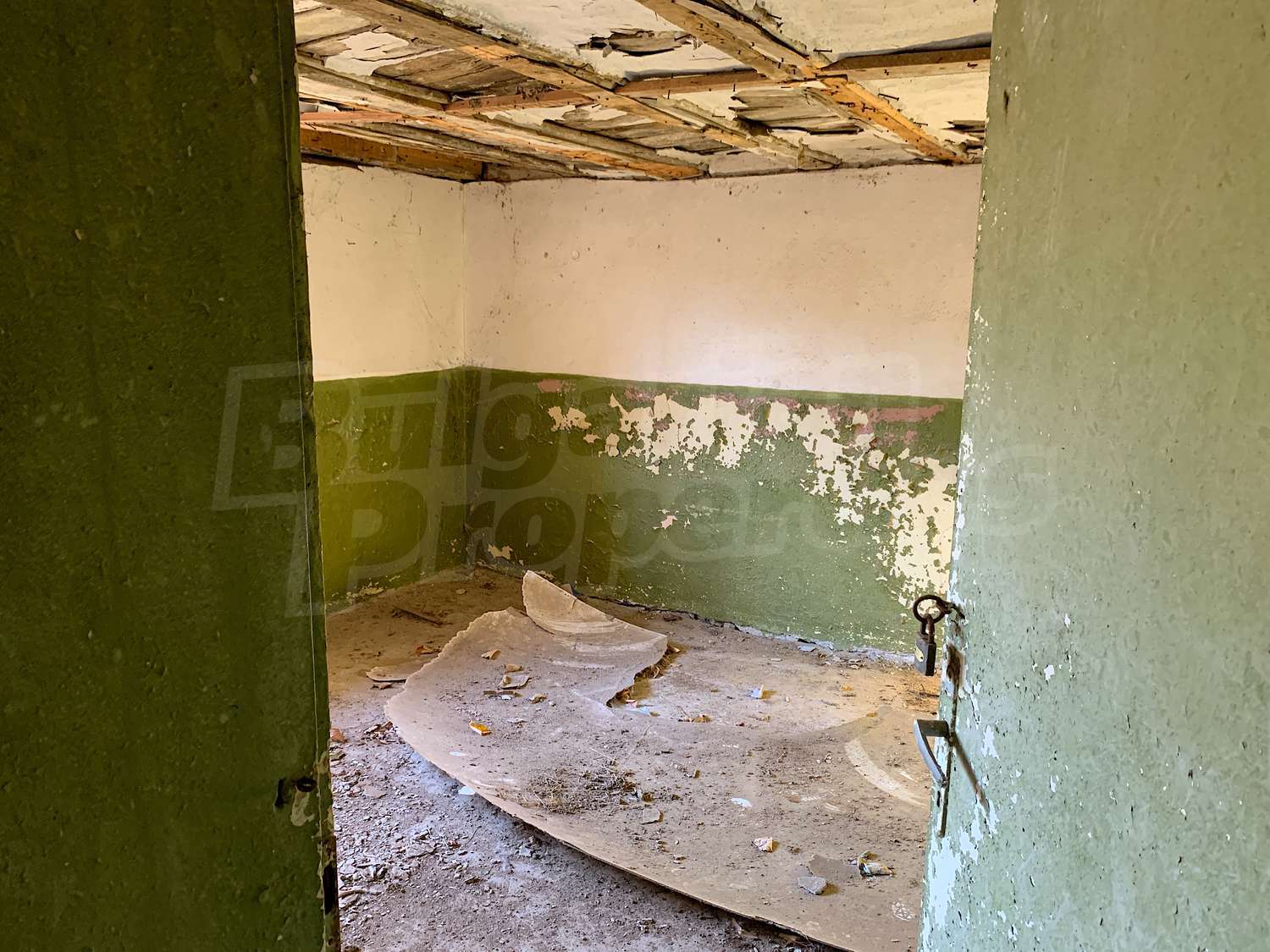 Gallery Picture 14