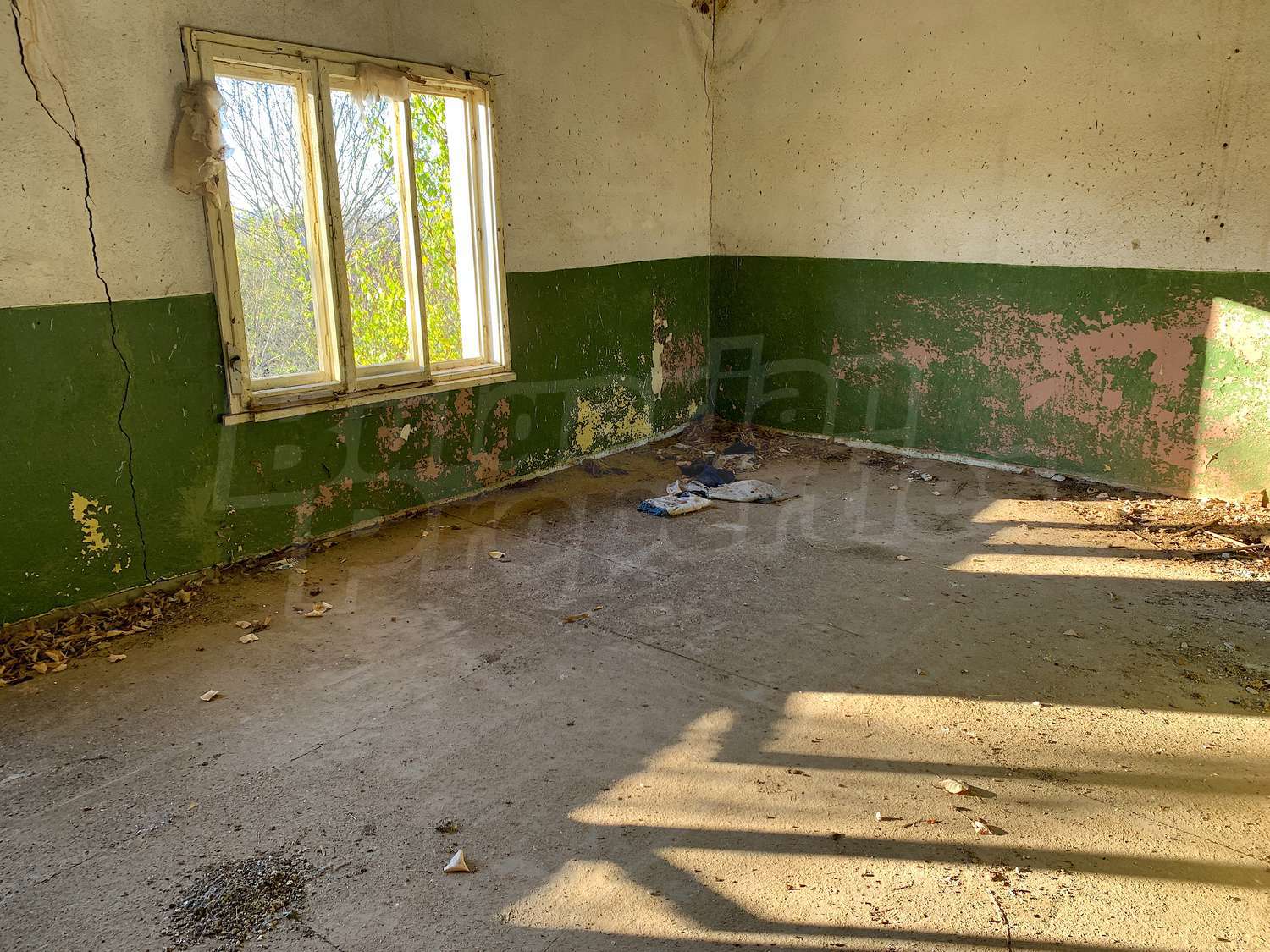 Gallery Picture 19