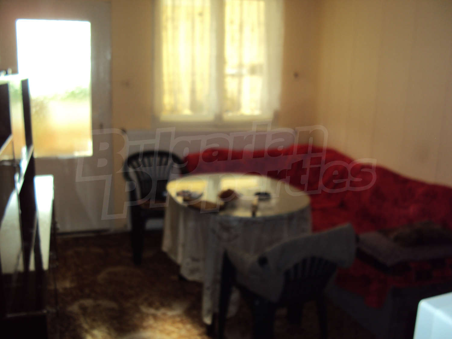 Gallery Picture 46
