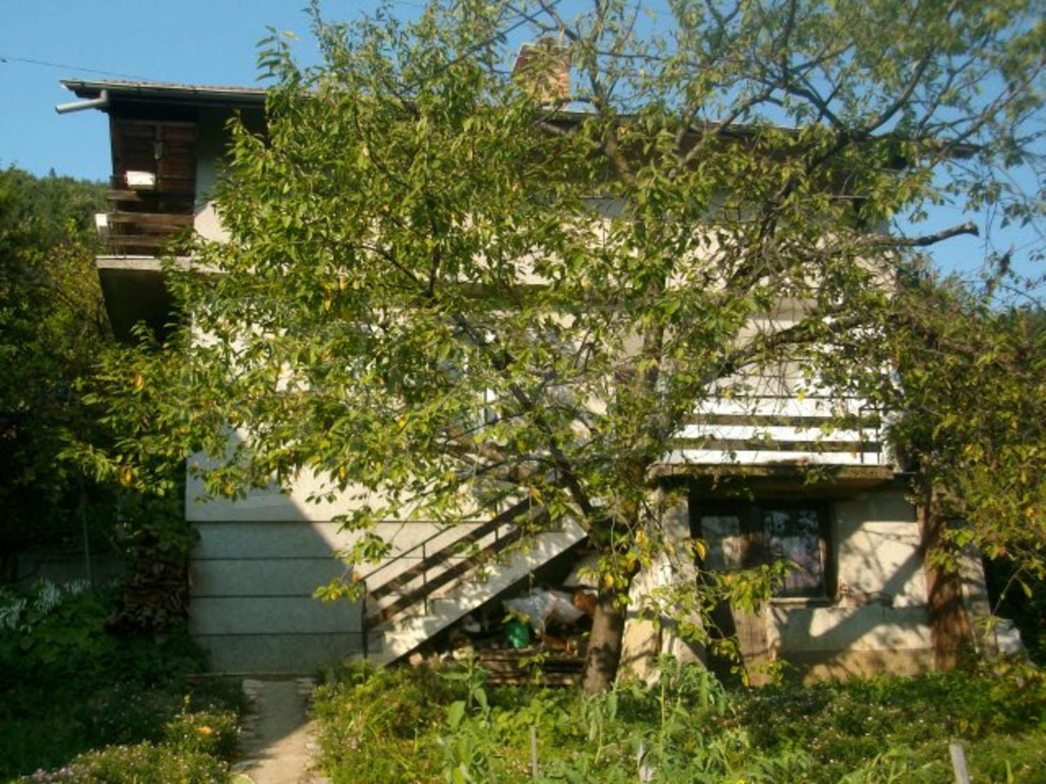 Gallery Picture 18