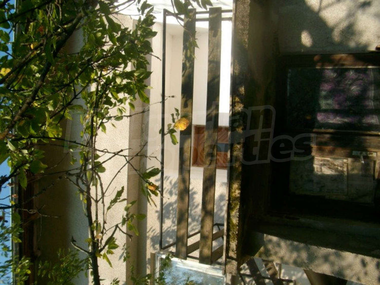 Gallery Picture 26