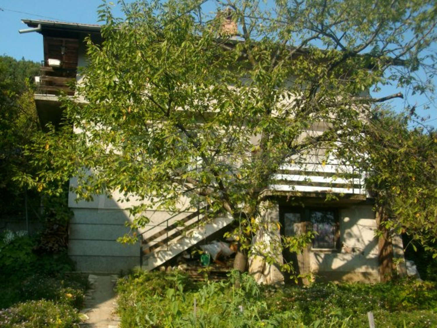 Gallery Picture 27