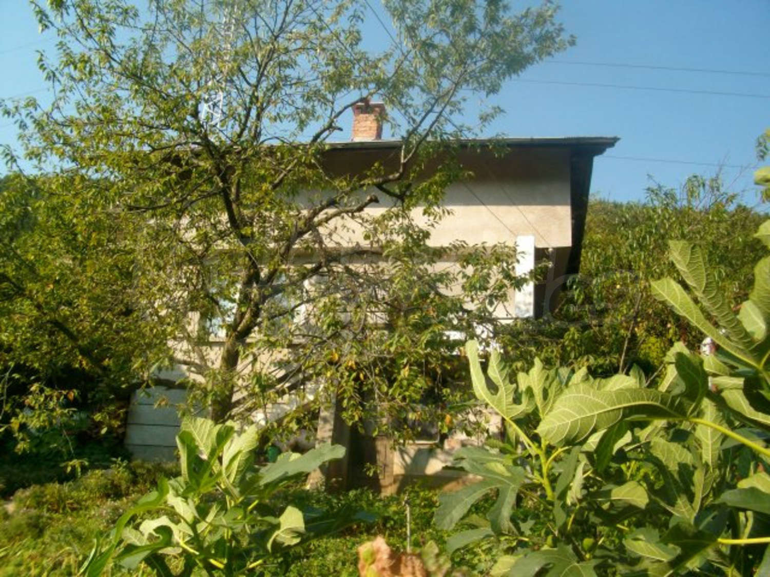 Gallery Picture 28