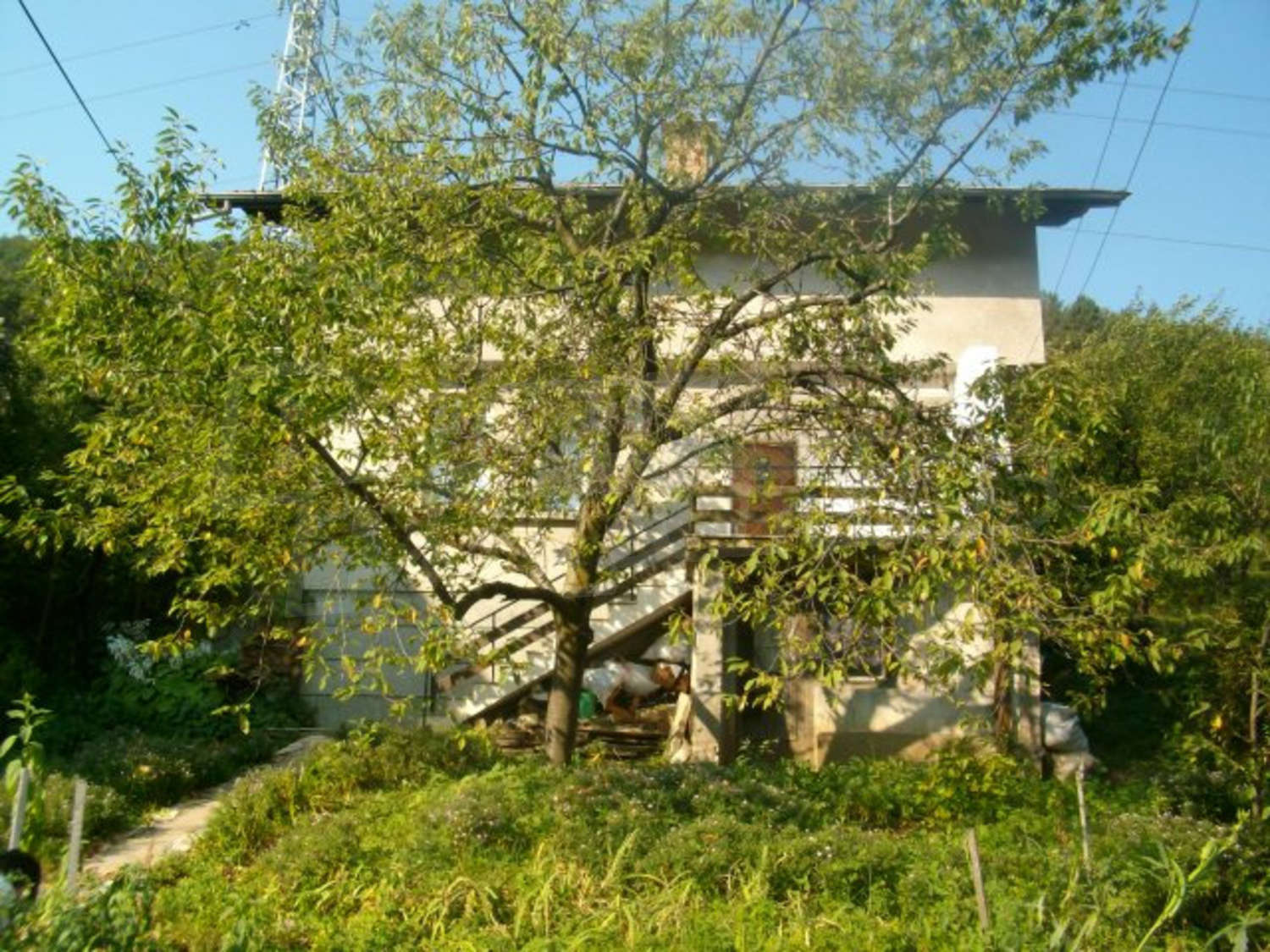 Gallery Picture 29