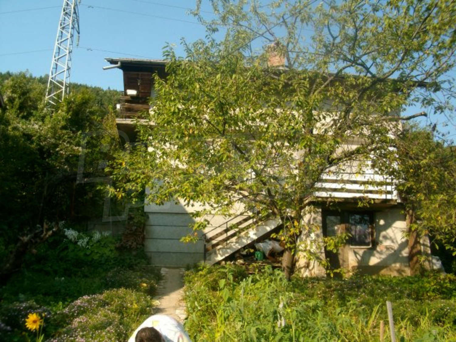 Gallery Picture 30