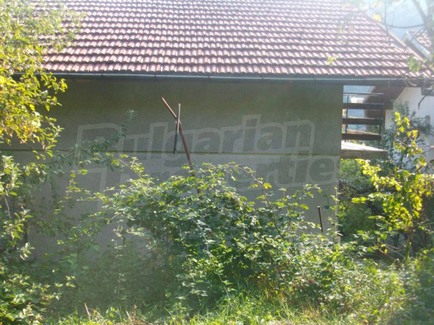 Gallery Picture 35