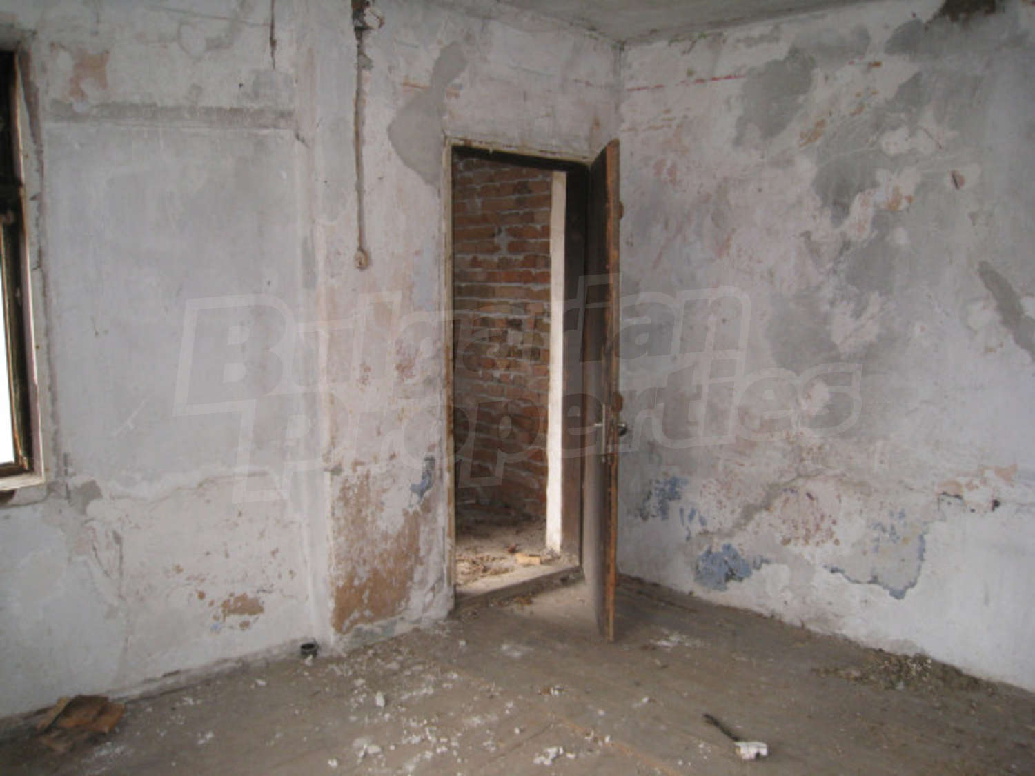 Gallery Picture 10