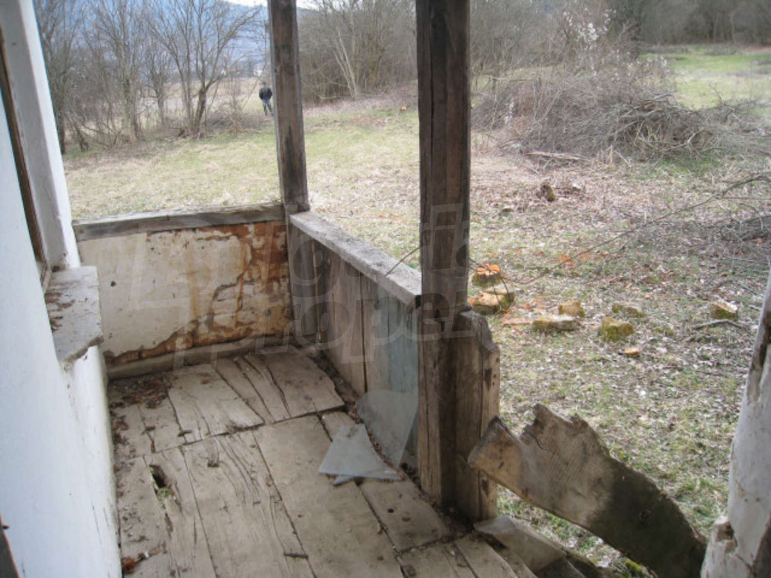 Gallery Picture 11