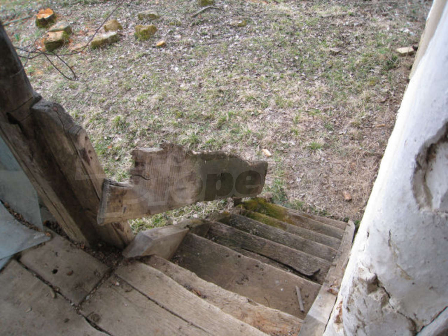 Gallery Picture 12