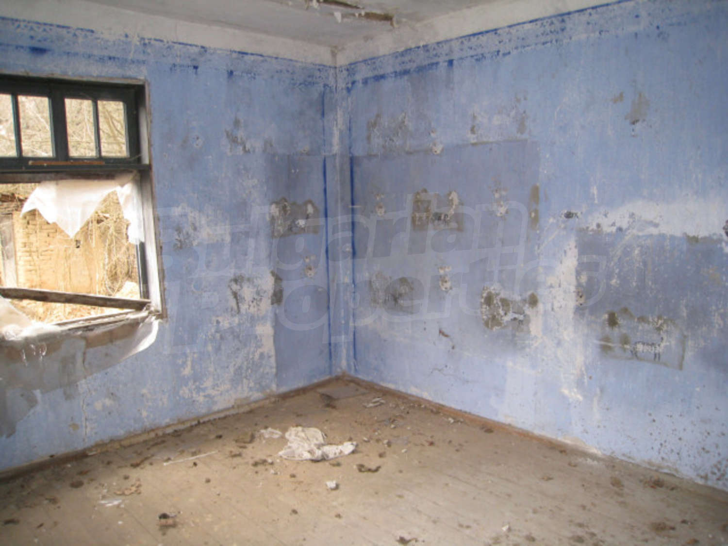 Gallery Picture 6