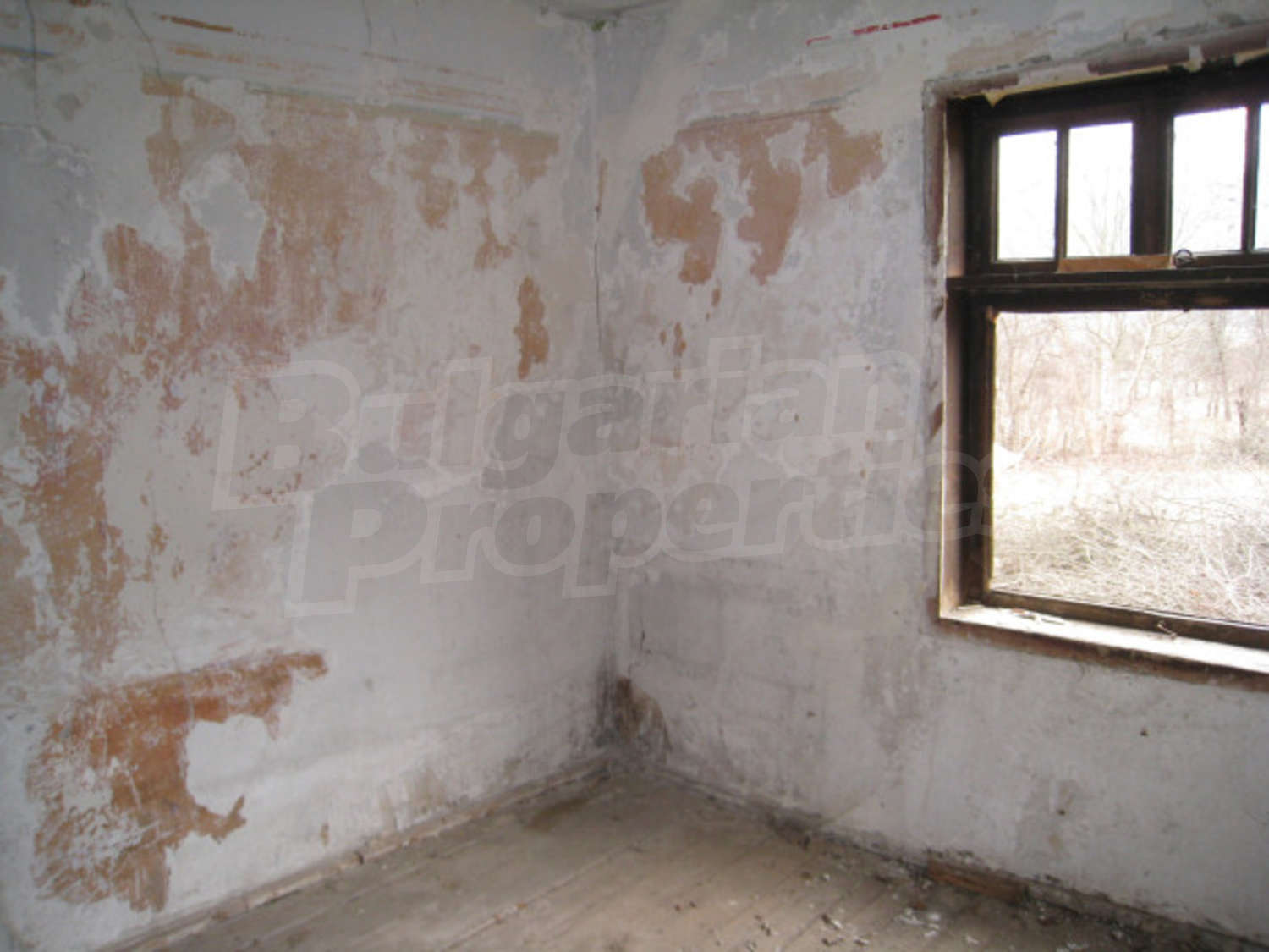 Gallery Picture 8